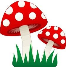 mushrooms-icon