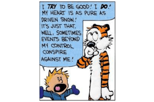 calvin and hobbes cartoon