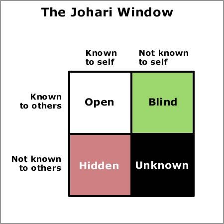 The Johari Window